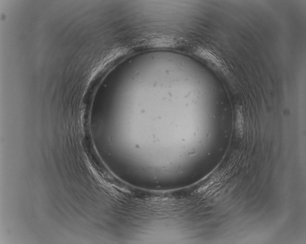 X0000057100730200509301616