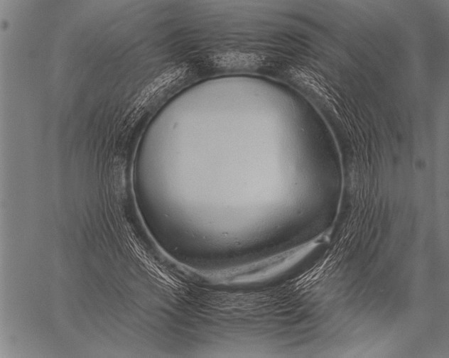 X0000057100733200509301616