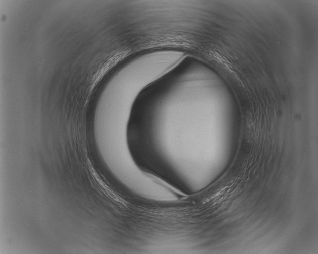 X0000057100734200509301616