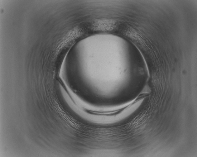 X0000057100735200509301616