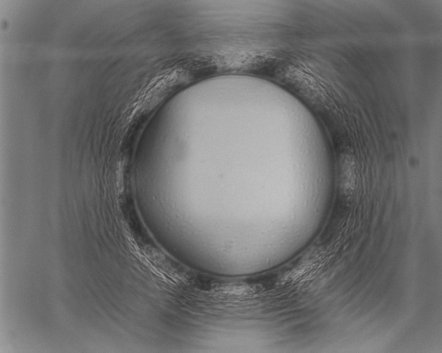 X0000057100738200509301616