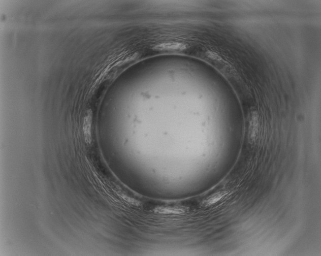 X0000057100739200509301616