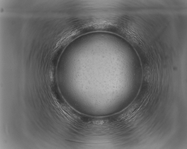 X0000057100740200509301616