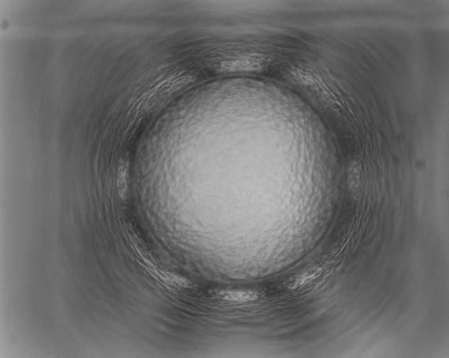 X0000057100741200509301616