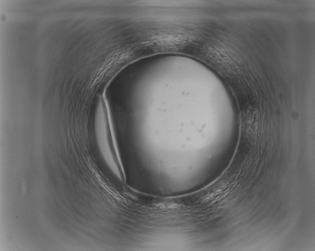 X0000057100742200509301616