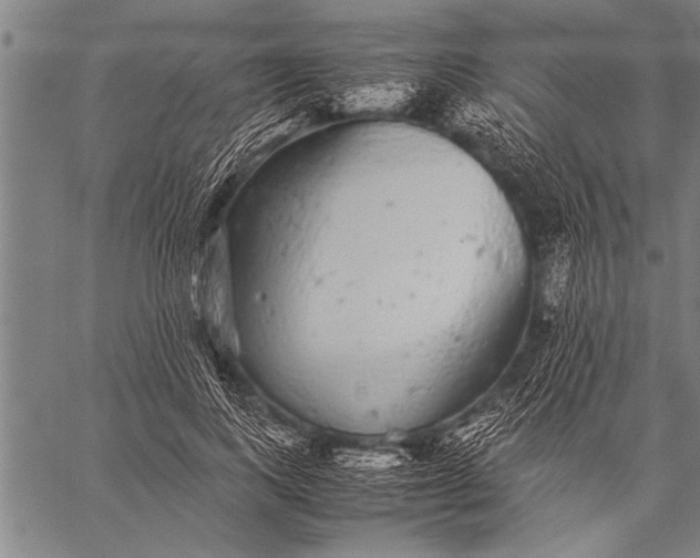 X0000057100743200509301616