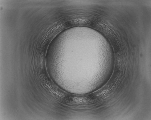 X0000057100745200509301616