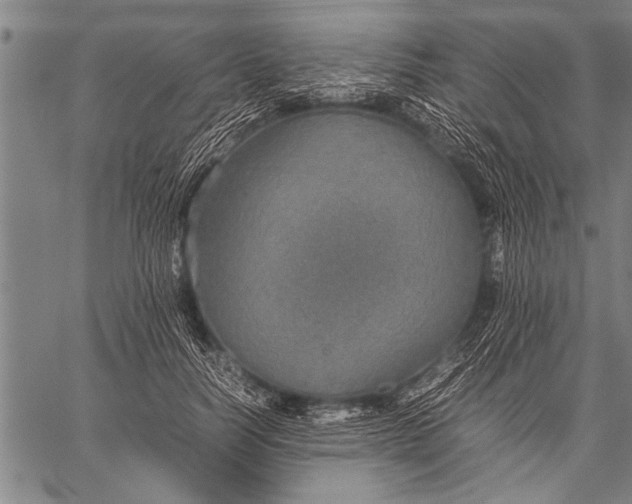 X0000057100746200509301616