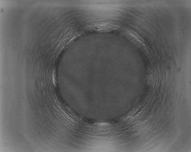 X0000057100748200509301616