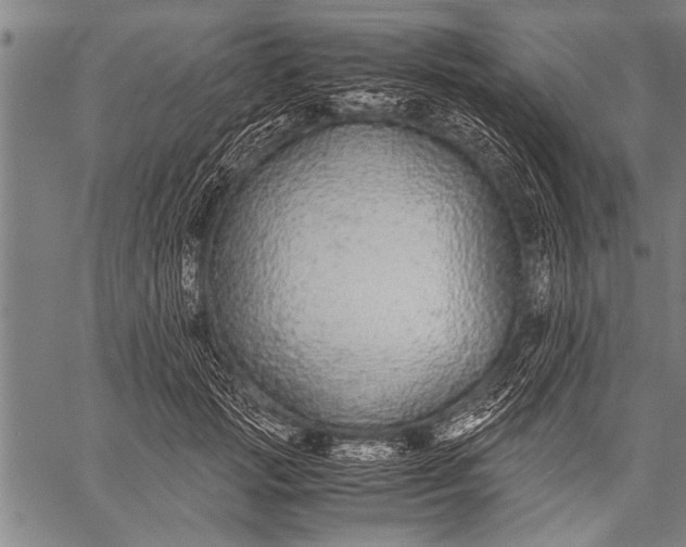 X0000057100749200509301616