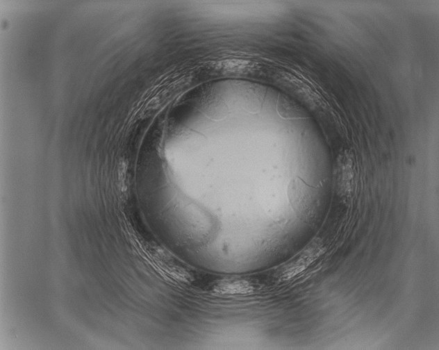 X0000057100750200509301616