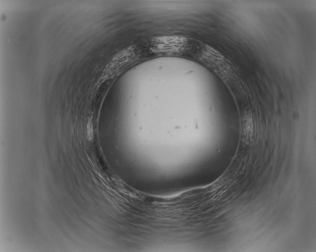 X0000057100751200509301616