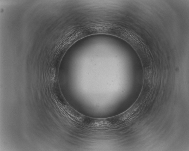 X0000057100752200509301616