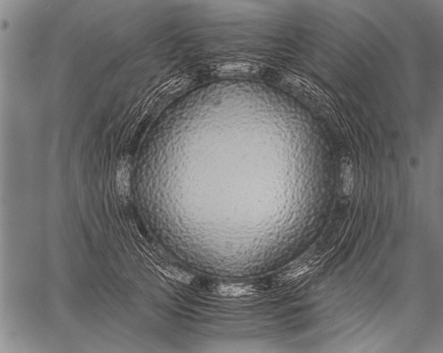 X0000057100753200509301616