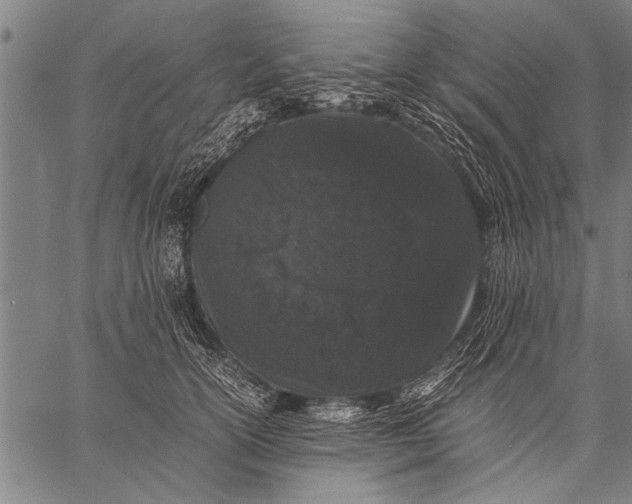 X0000057100754200509301616