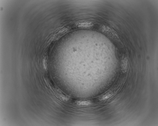 X0000057100755200509301616