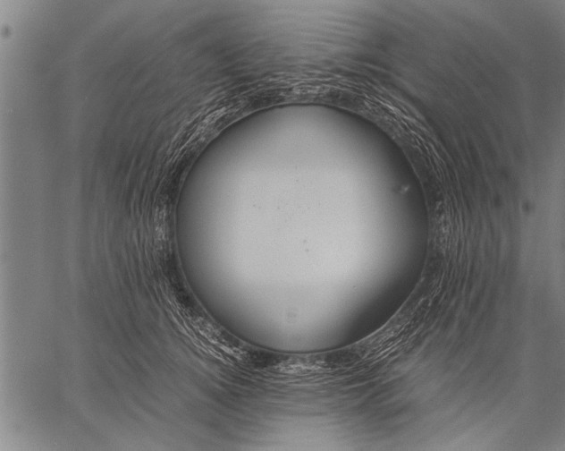 X0000057100756200509301616