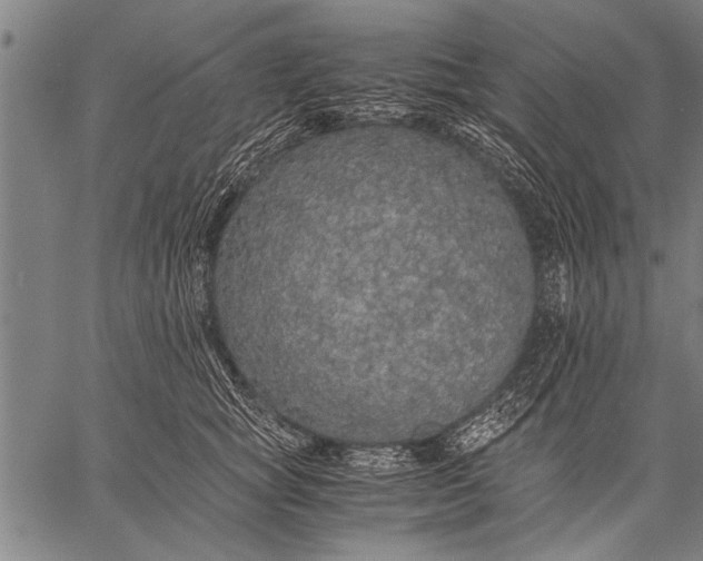 X0000057100757200509301617