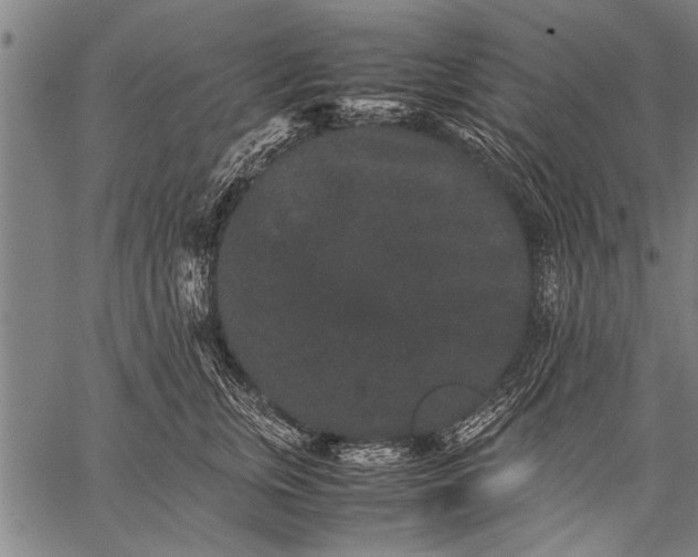 X0000057100759200509301617