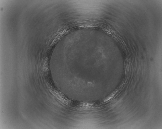 X0000057100760200509301617