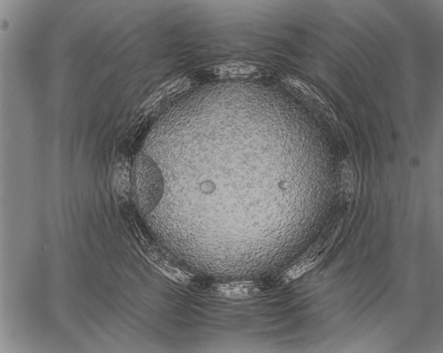 X0000057100761200509301617