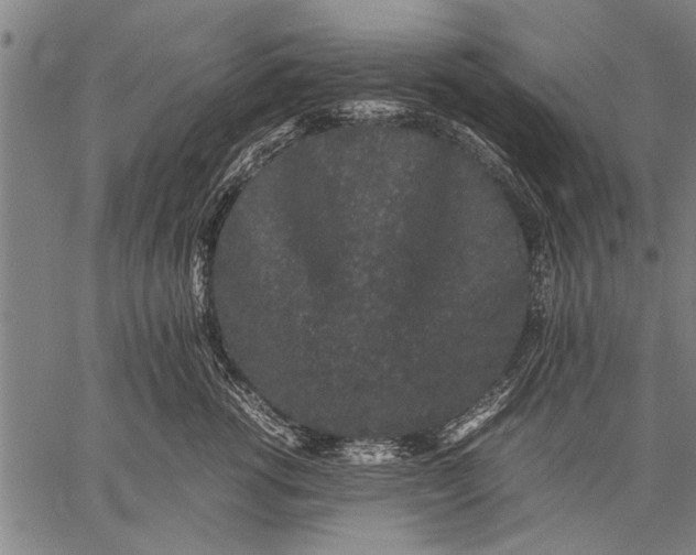 X0000057100762200509301617