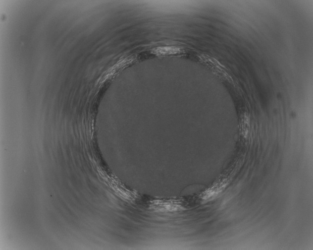 X0000057100763200509301617