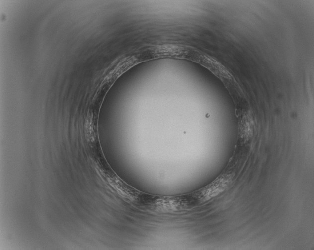 X0000057100764200509301617