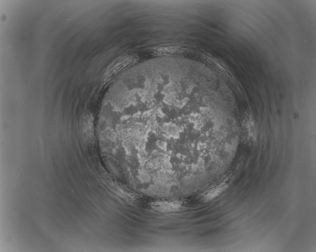 X0000057100765200509301617