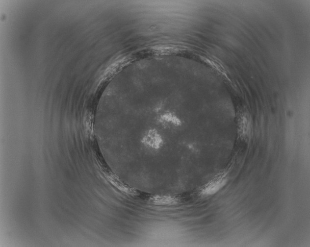 X0000057100766200509301617