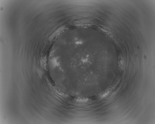 X0000057100767200509301617