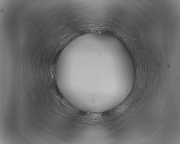 X0000057100768200509301617