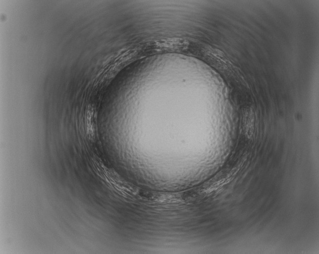 X0000057100770200509301616