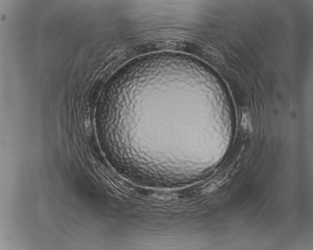 X0000057100771200509301616