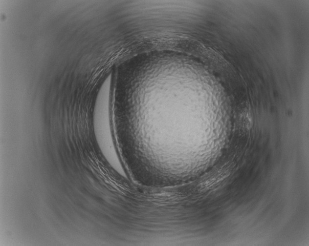 X0000057100772200509301616