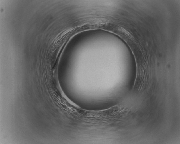 X0000057100773200509301616