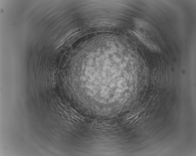 X0000057100774200509301616