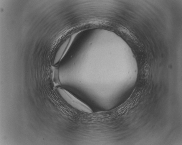 X0000057100776200509301616