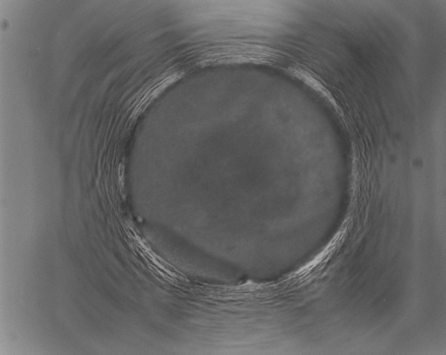 X0000057100777200509301616