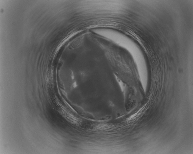 X0000057100779200509301616