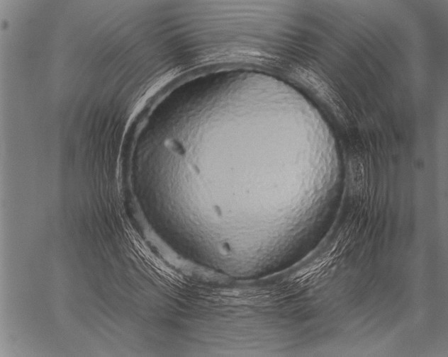 X0000057100780200509301616