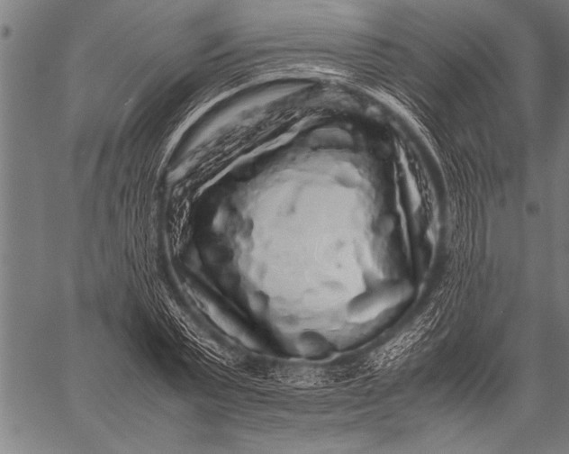 X0000057100783200509301616