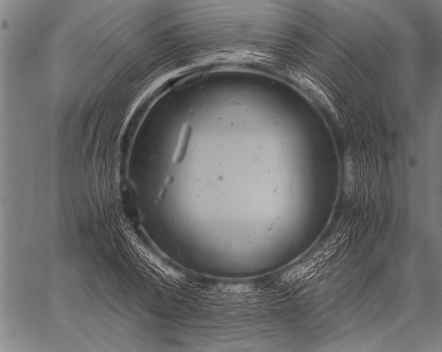 X0000057100784200509301616