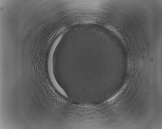 X0000057100785200509301616