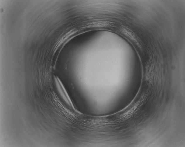 X0000057100786200509301616