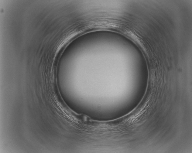 X0000057100787200509301616