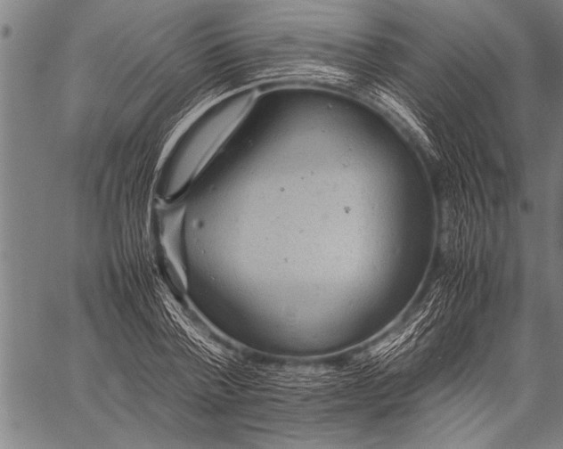 X0000057100788200509301616