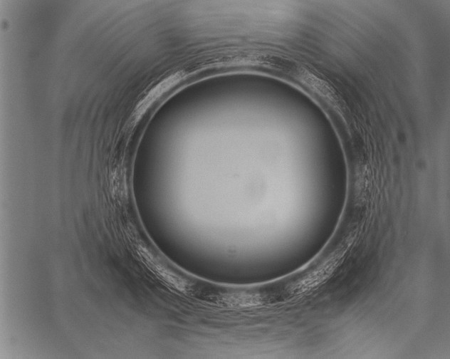 X0000057100789200509301616