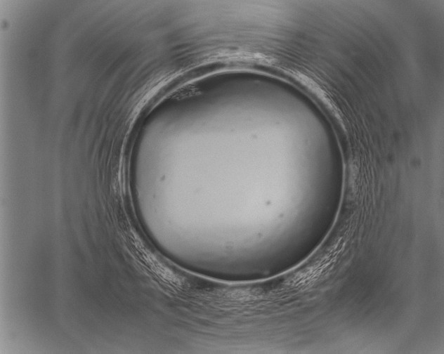 X0000057100791200509301616