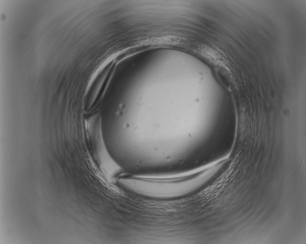 X0000057100792200509301616